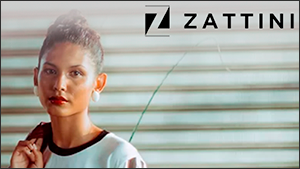 Zattini